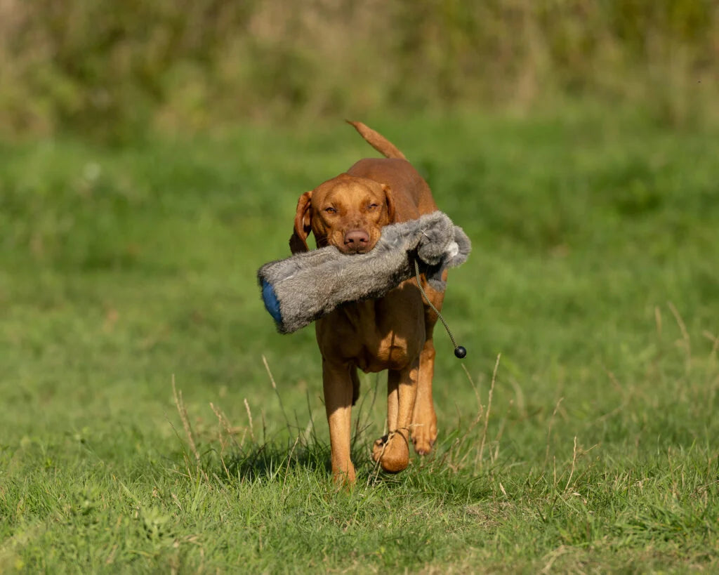 Sporting Saint Rabbit Fur Gundog Training Dummy