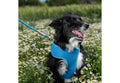 Ancol clip on dog lead poly weave webbing with trigger clip
