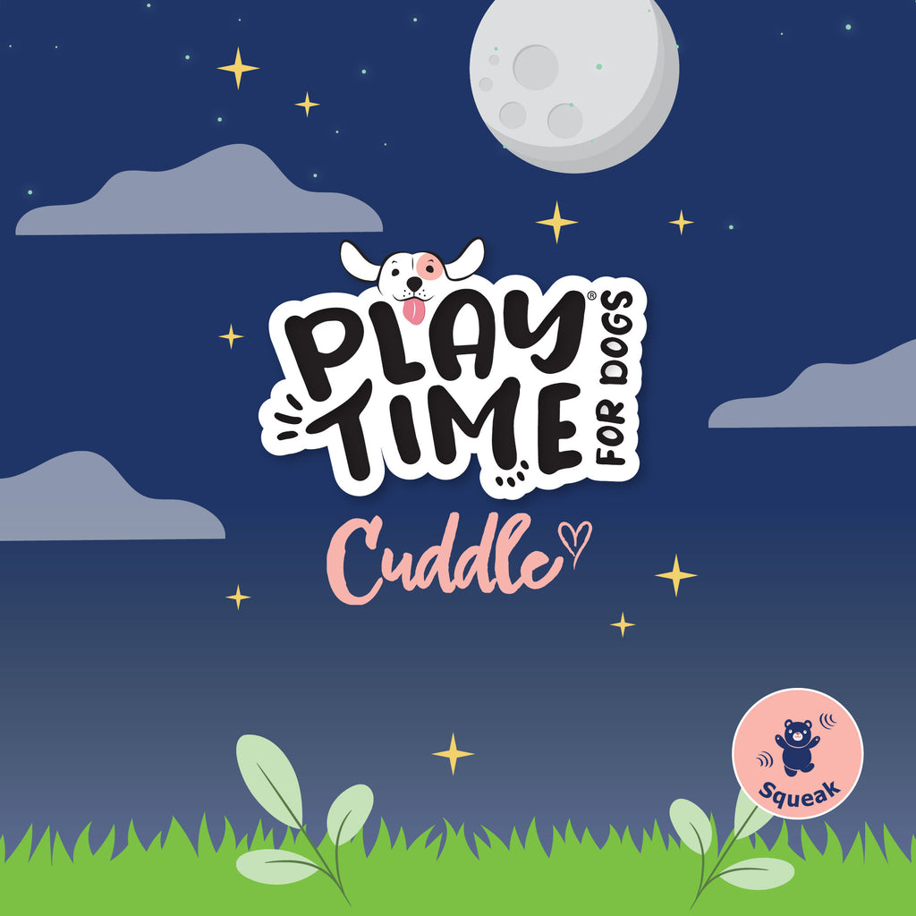 Cuddle Lizard Dog Toy