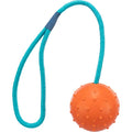 Trixie ball on a rope dog toy rubber ball fetch and tug
