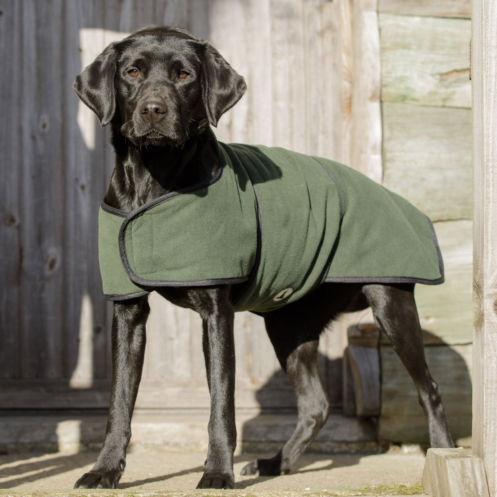 Dog and Field dual layer towelling drying coat for working gundogs