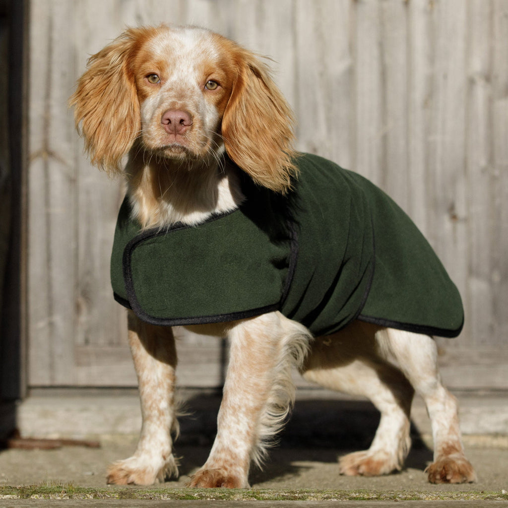 Dog & Field Dual Layer Towelling Dog Coat