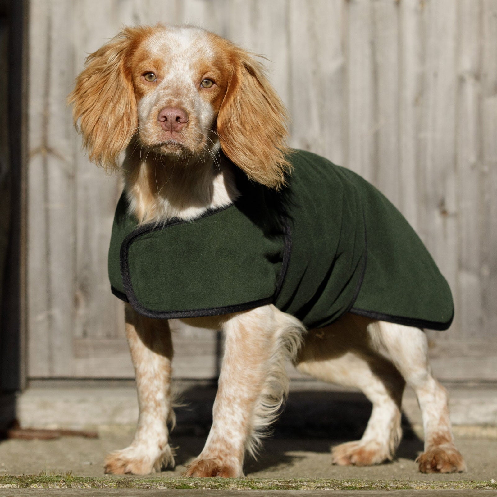Dog & Field Dual Layer Towelling Dog Coat