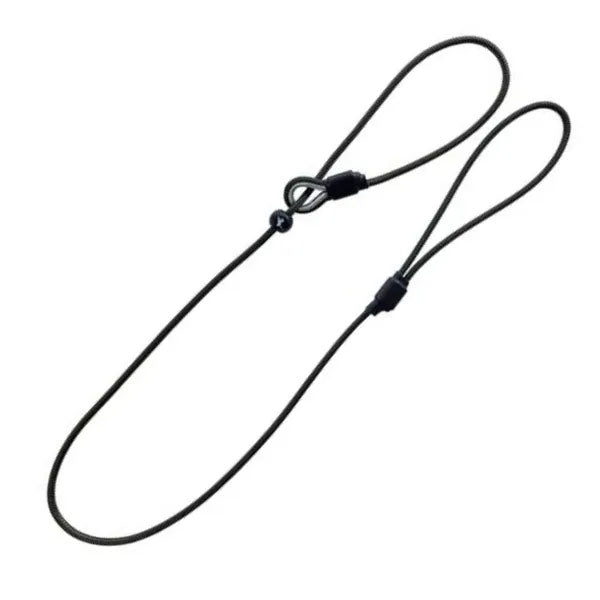 Sporting Saint Field Trial Pro slip lead professional gundog training