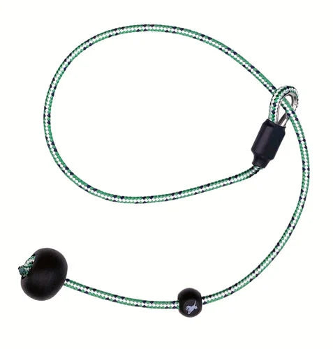 Sporting Saint Heeling Lead – Dog Training Lead