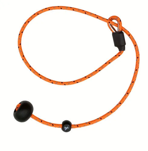 Sporting Saint Heeling Lead – Dog Training Lead