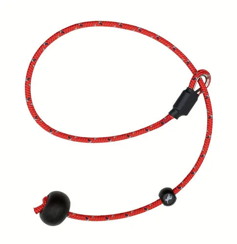 Sporting Saint Heeling Lead – Dog Training Lead