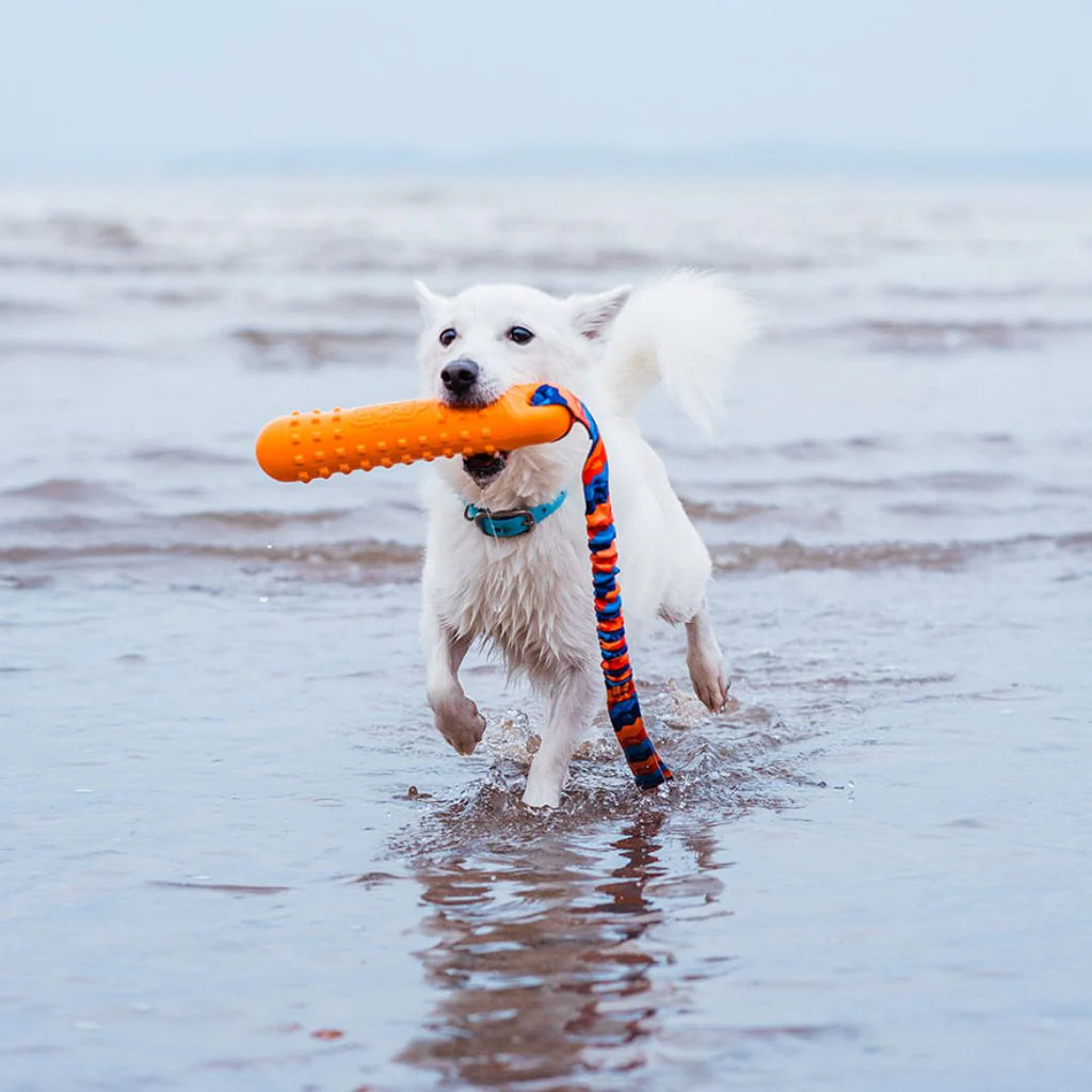 BOB: The 3-in-1 Gundog Training Dummy