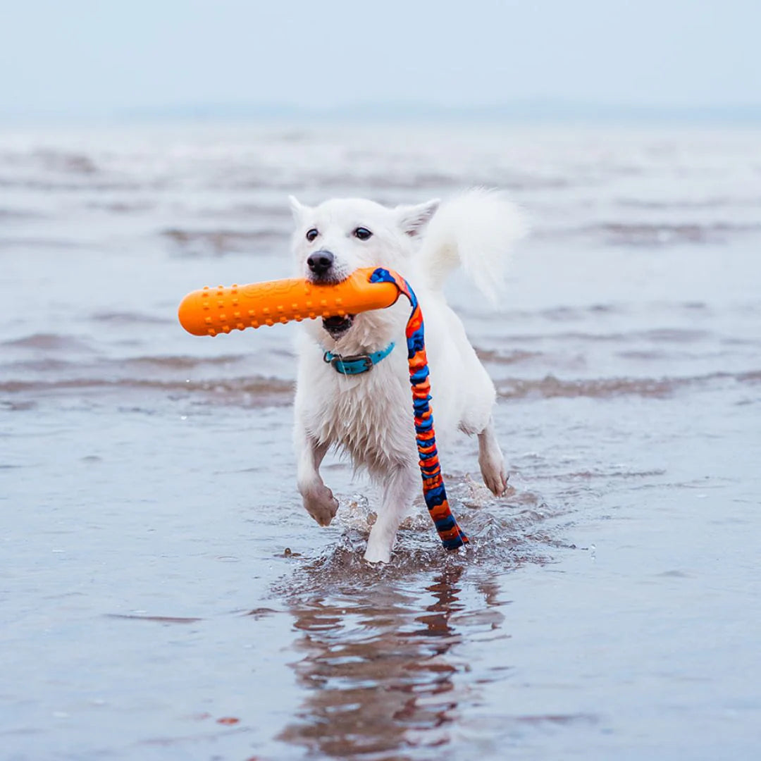 BOB: The 3-in-1 Gundog Training Dummy