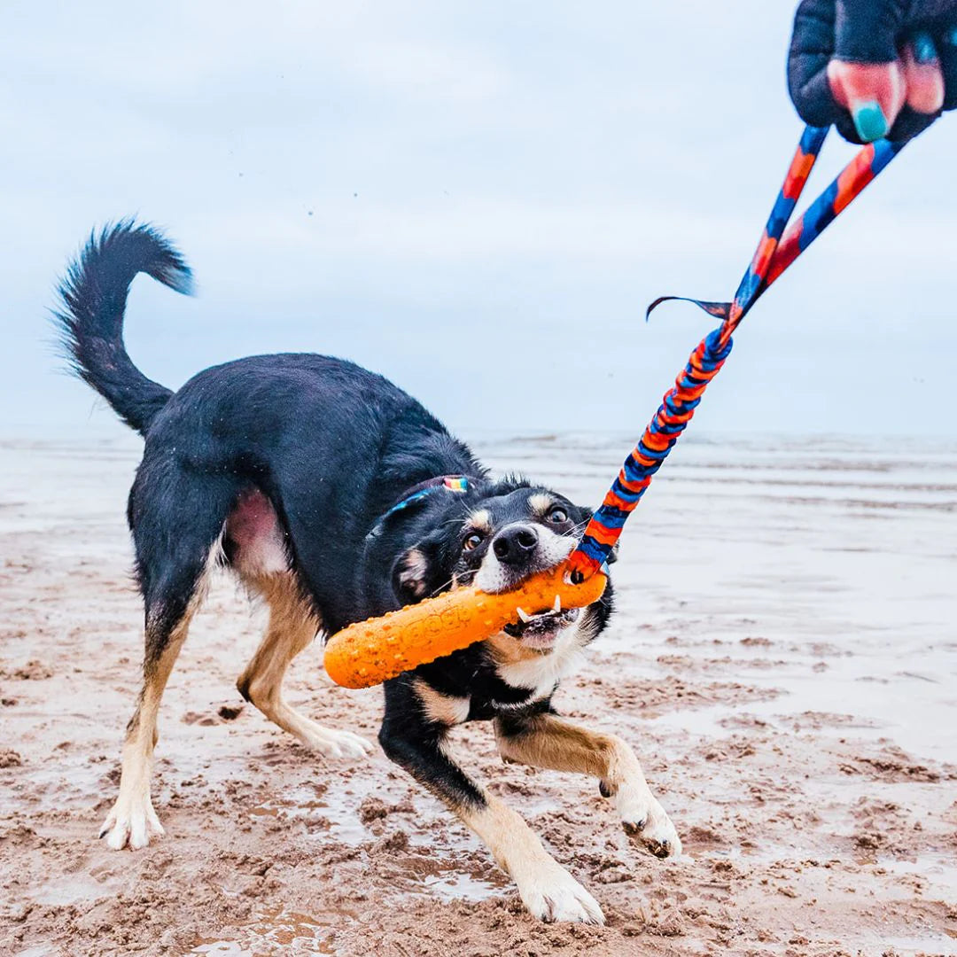 BOB: The 3-in-1 Gundog Training Dummy