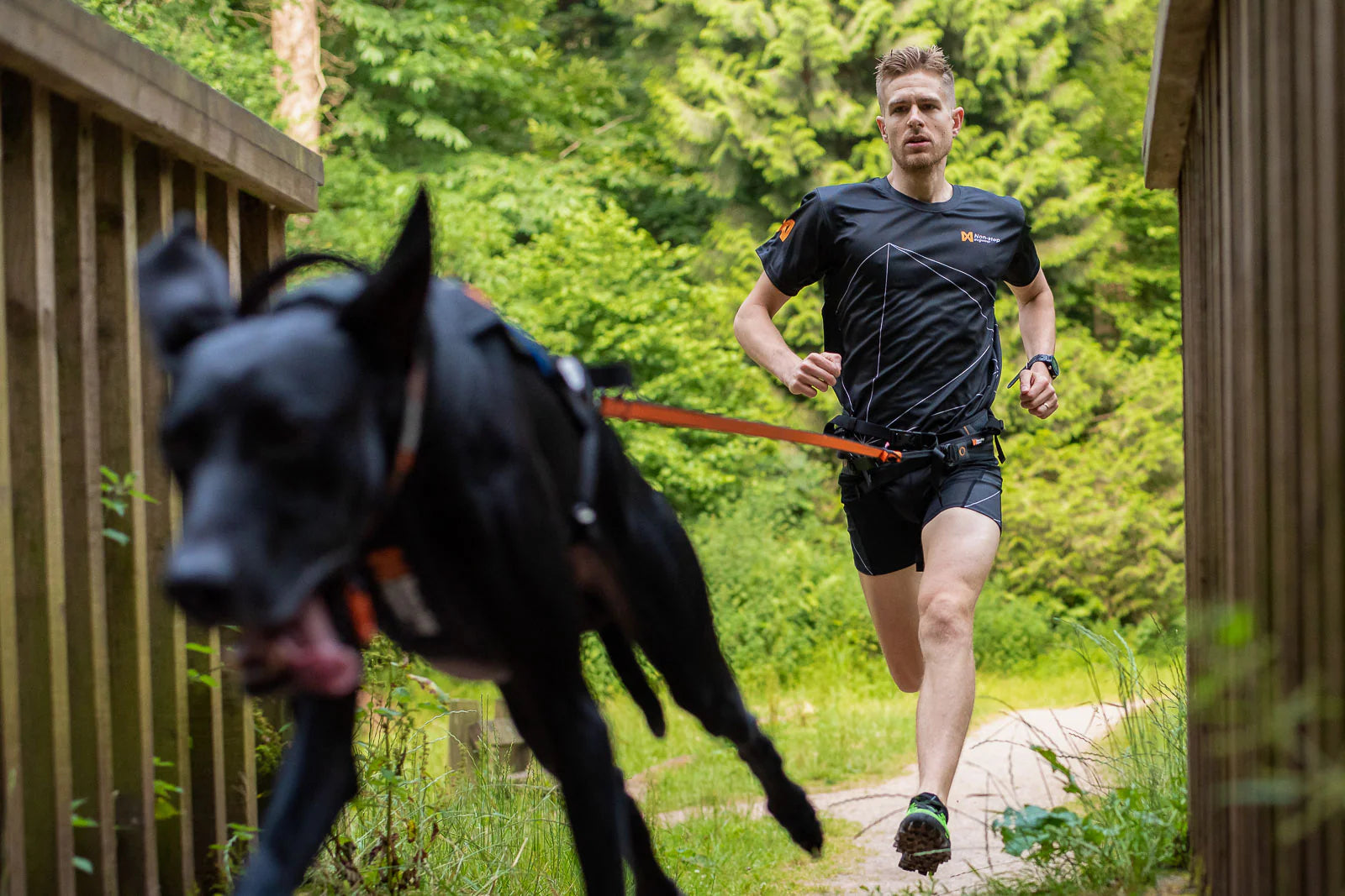 Non-Stop Dog Wear 2.8m Bungee Lead