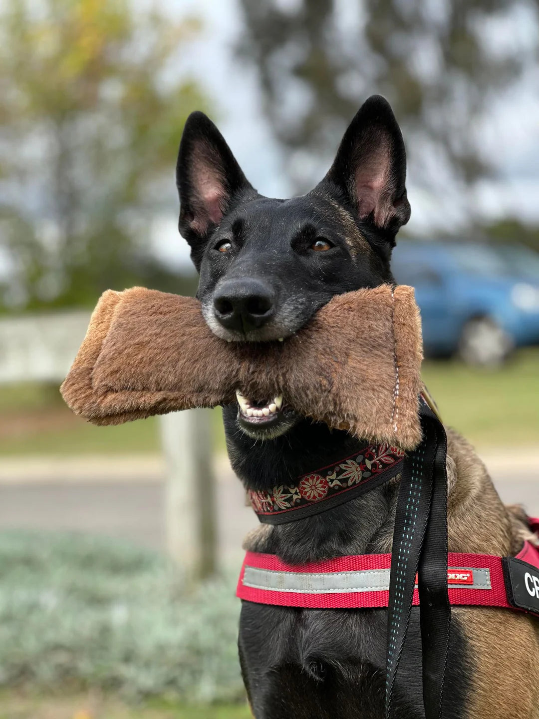 Kangaroo Tug Toy - Natural Tug