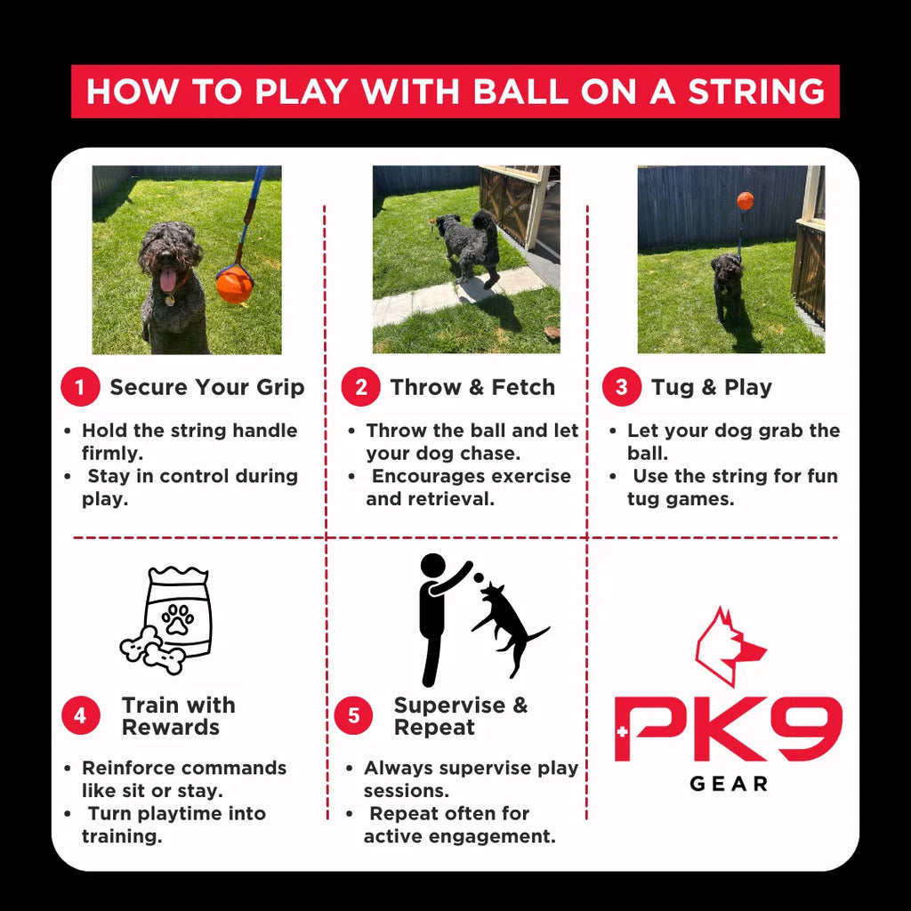 DuraFoam Dog Ball On A Rope – Fetch & Tug Dog Toy