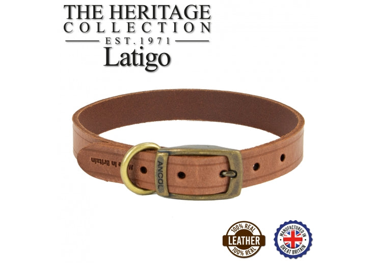All Collars – Sportingdoggoods