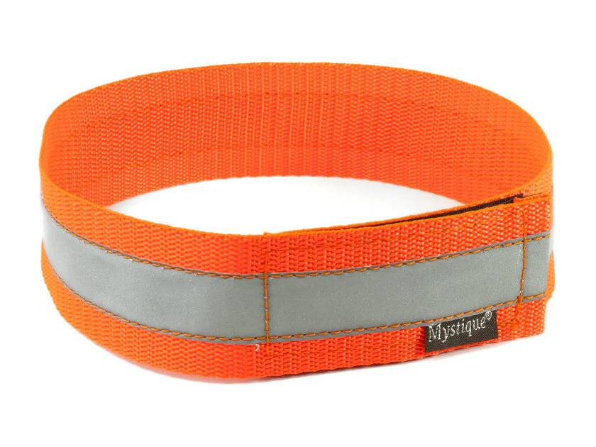 Mystique reflective high visibility dog collar for low light safety
