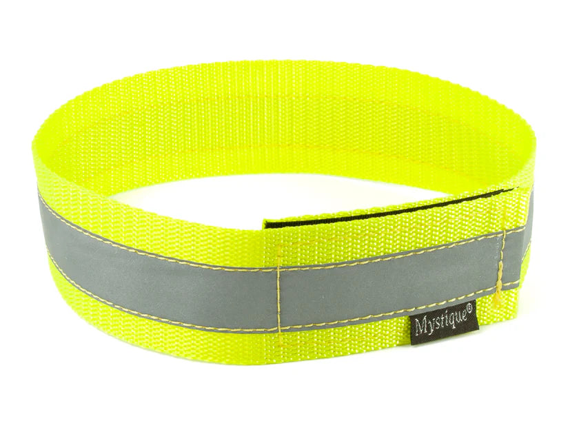 Mystique Reflective Dog Collar