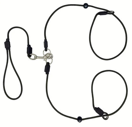 Sporting Saint Field Trial Pro Brace Set – 2 Dog Slip Lead
