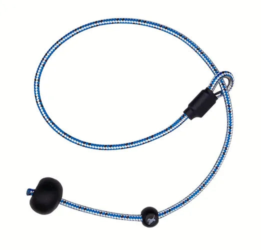 Sporting Saint heeling lead short dog training lead for heel work