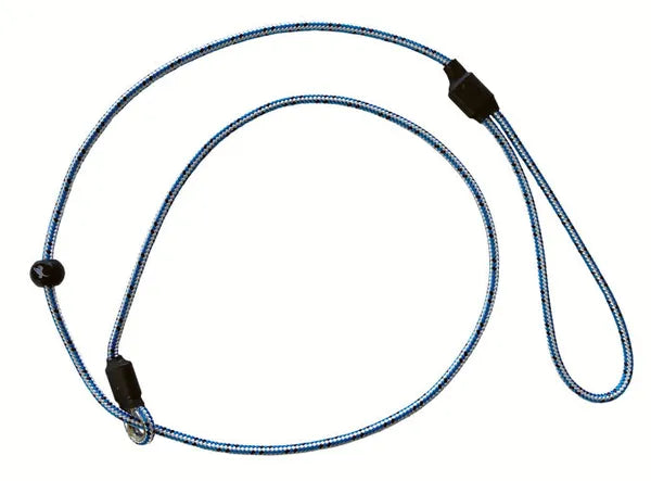 Sporting Saint Field Trial Pro Slip Lead
