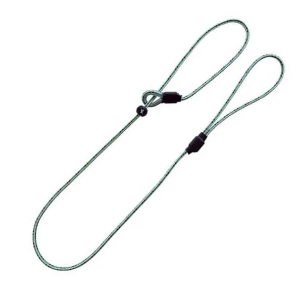 Sporting Saint Field Trial Pro Slip Lead