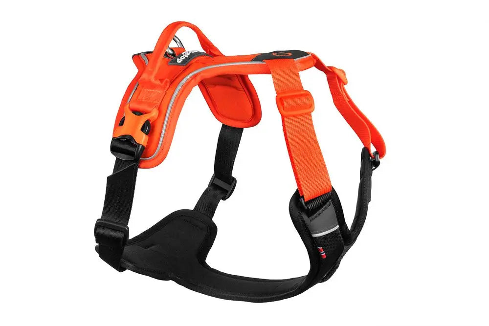 Non-Stop Dogwear Ramble Dog Harness in orange and black