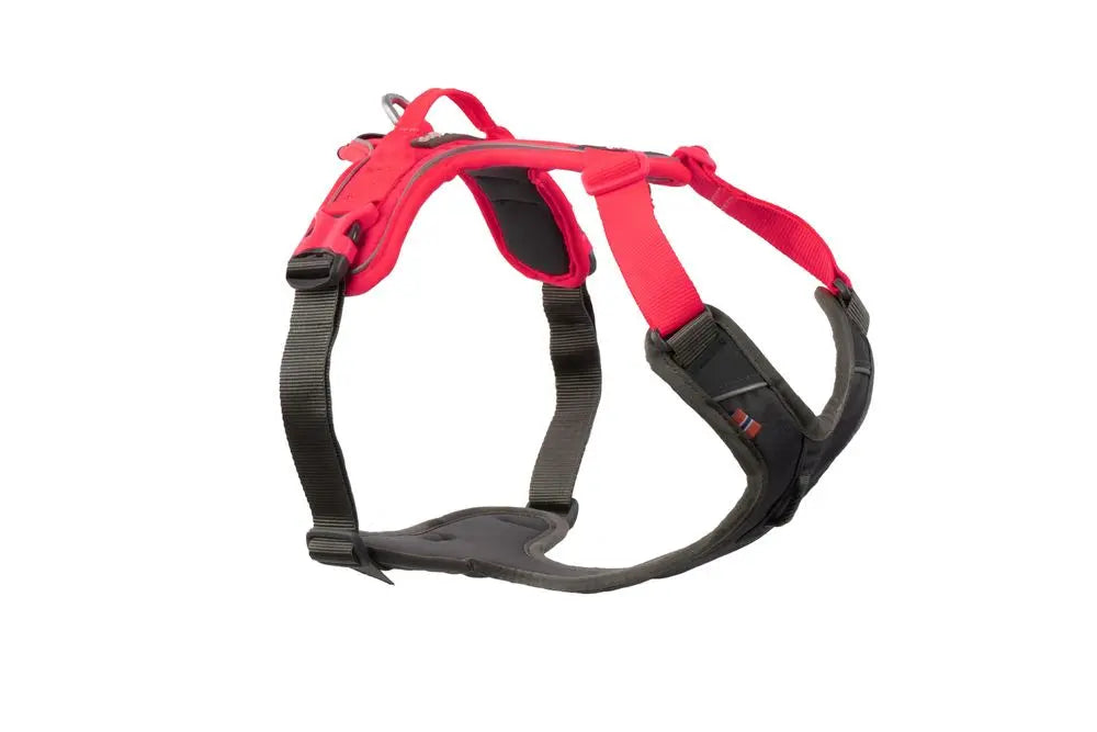 Non-Stop Dogwear Ramble Dog Harness