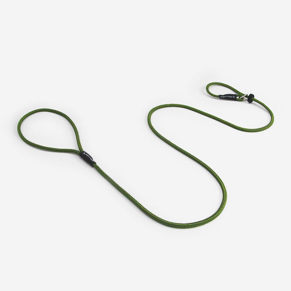 Dog & Field Signature Slip Lead