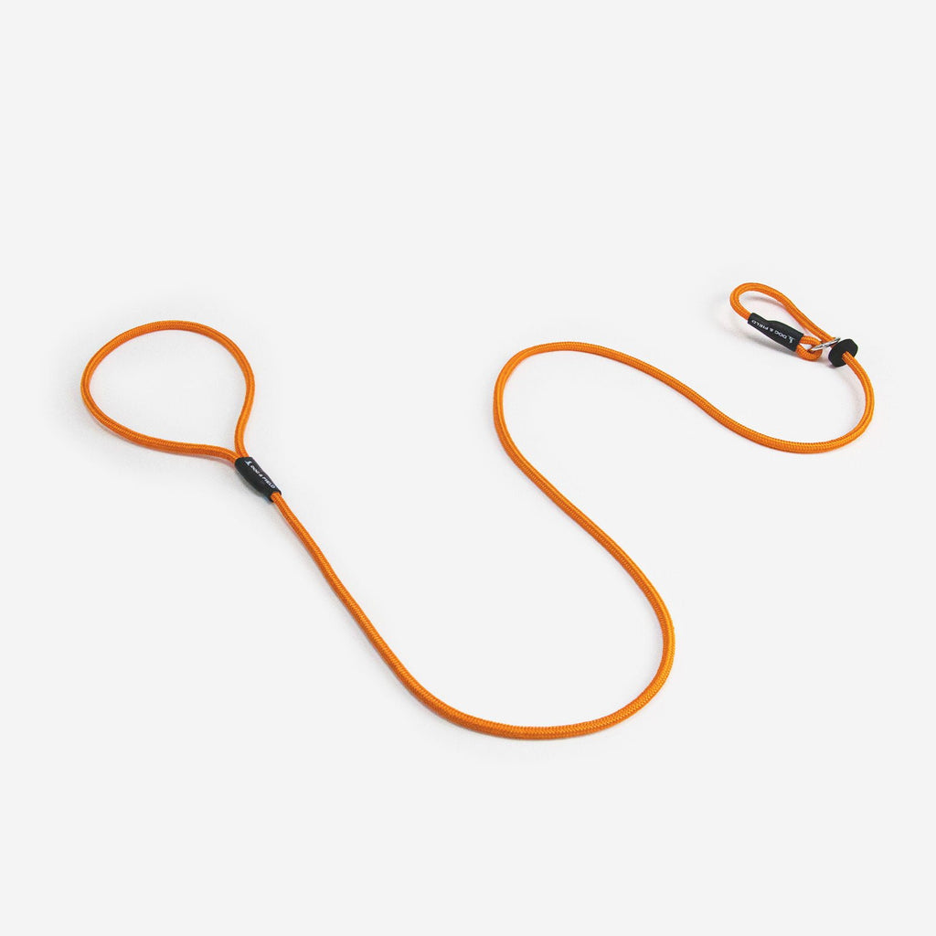 Dog & Field Signature Slip Lead