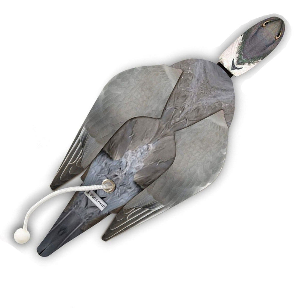 Dog & Field Clone Dead Bird Gundog Dummy