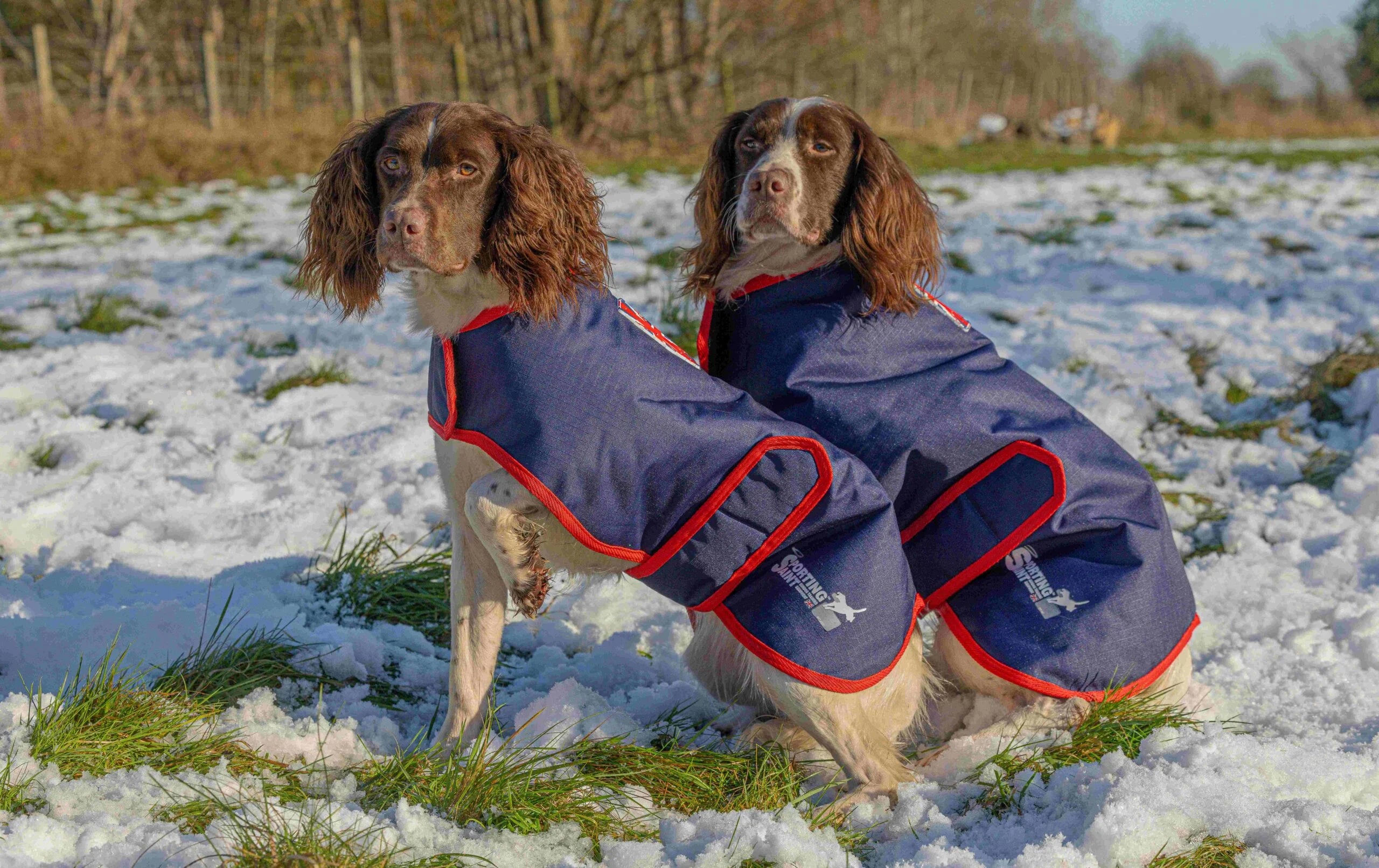 Sporting Saint Field Trial Pro Dog Coat