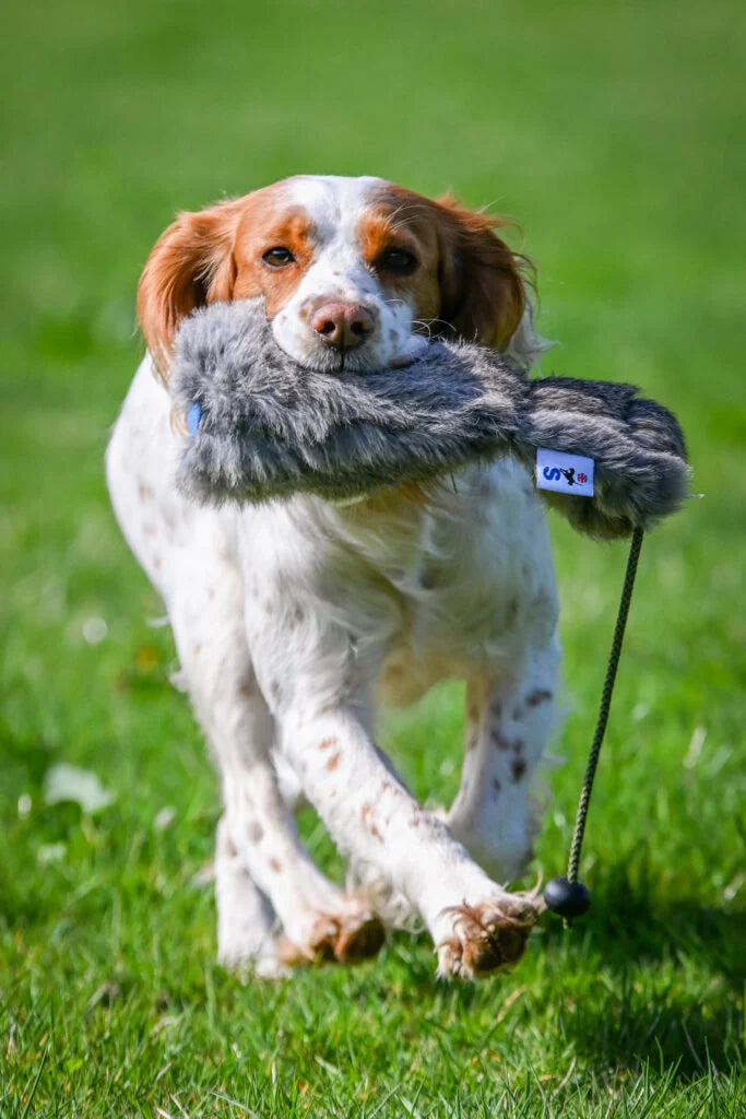 Sporting Saint Rabbit Fur Gundog Training Dummy