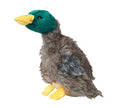 House of Paws plushie duck soft squeaky dog toy