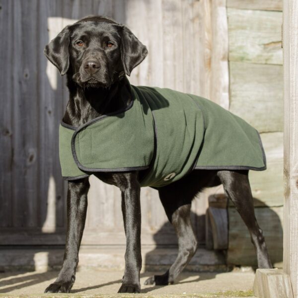 Dog & Field Dual Layer Towelling Coat