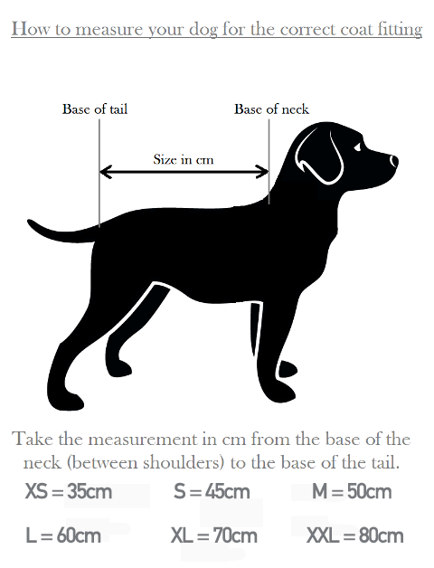 How to measure your dog for a dog coat