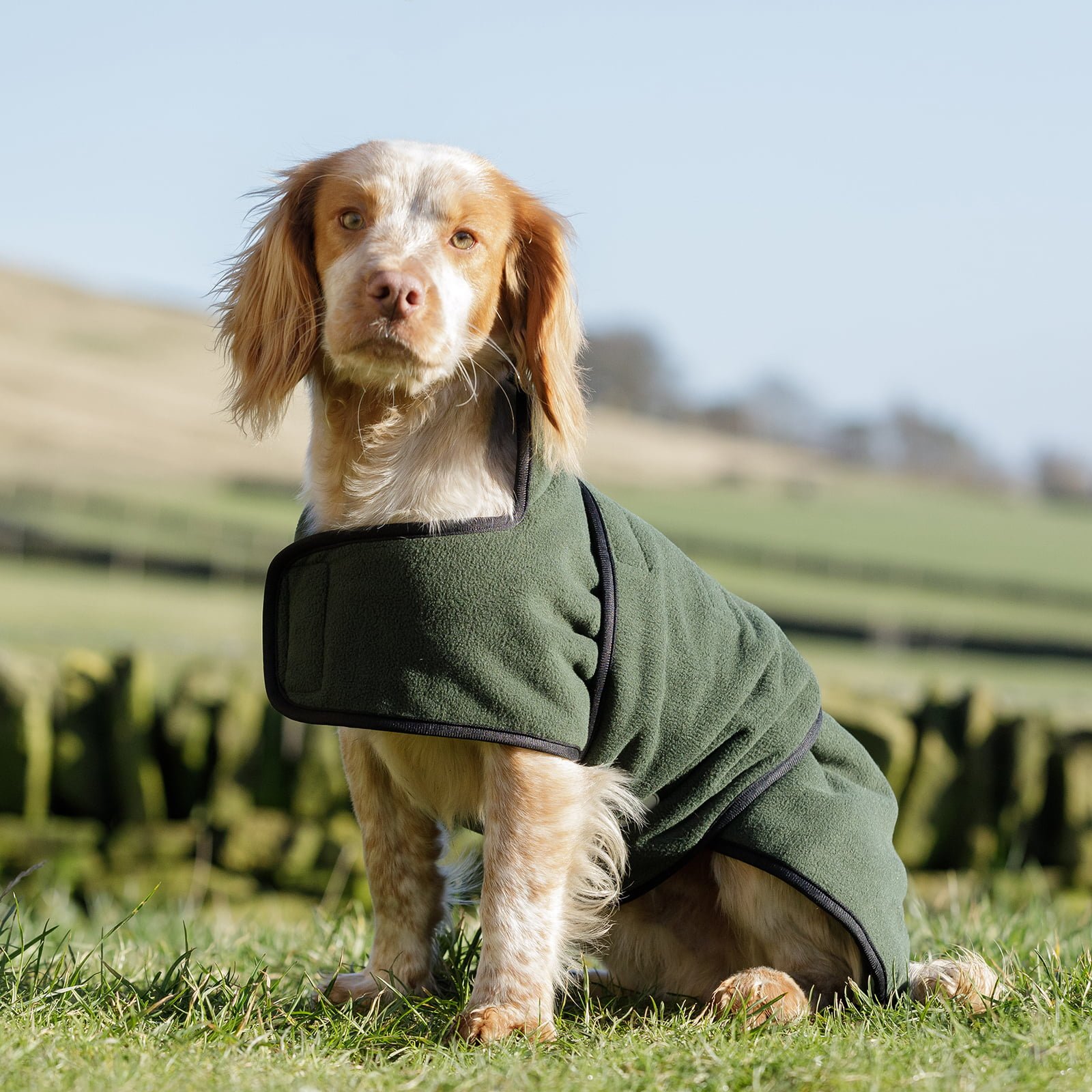 Dog & Field Dual Layer Towelling Coat - Image 2