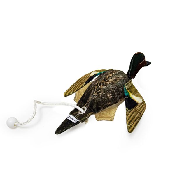 Dog and Field: The Original Clone® Dead Bird Dummy - Image 9