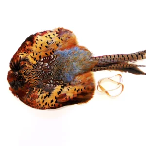 Cock Pheasant Pelt