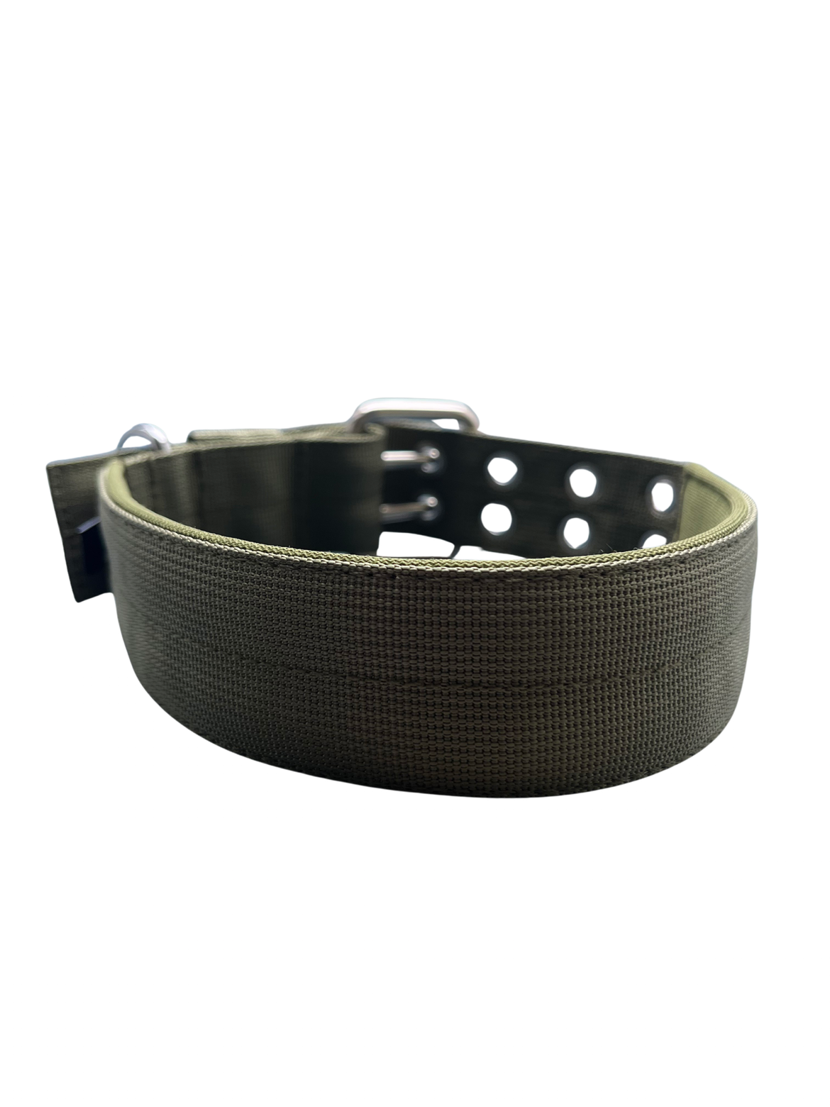 Sporting Dog Goods Heavy Duty Buckle Collar - Image 3